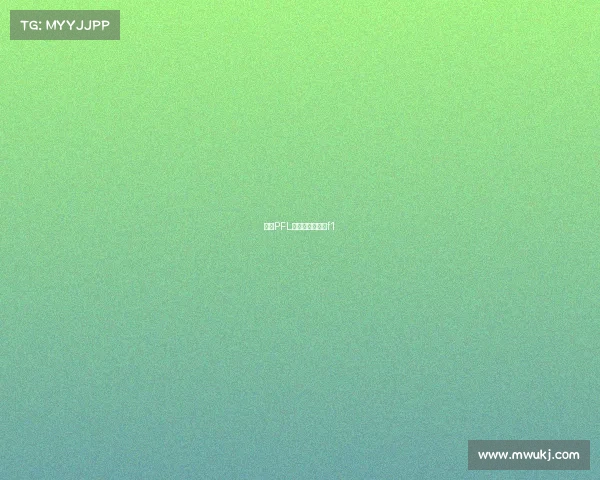 美国PFL赛事—美国赛道f1